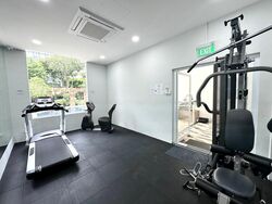 The Balmoral Spring (D10), Apartment #480363991